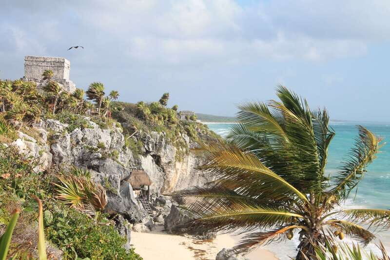 From Riviera Maya : Tulum Ruins, Cenotes & Jungle Adventure - What to Expect at Each Stop