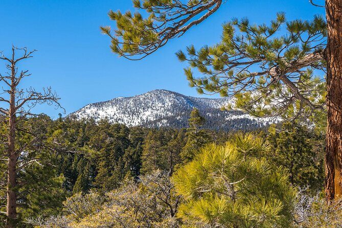 From San Diego: Two-Day Camping and Hiking Adventure in Idyllwild - Who is This Tour Best For?