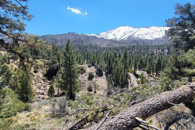From San Diego: Two-Day Kayaking & Hiking at Big Bear Lake - What Makes This Tour Stand Out?