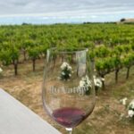 From San Francisco: Napa & Sonoma Valley Wine Tour with Tastings - What We Appreciate About This Tour
