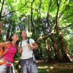 From San Francisco: Wine Tour, Redwoods, and Hop-on Hop-off Tour - In-Depth Review