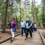 From San Francisco: Yosemite National Park Guided Day Trip - A Deep Dive into the Yosemite Day Trip Experience