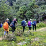 From Sapa: Fansipang Mountain Hike 1 Day - Who Should Consider This Tour?