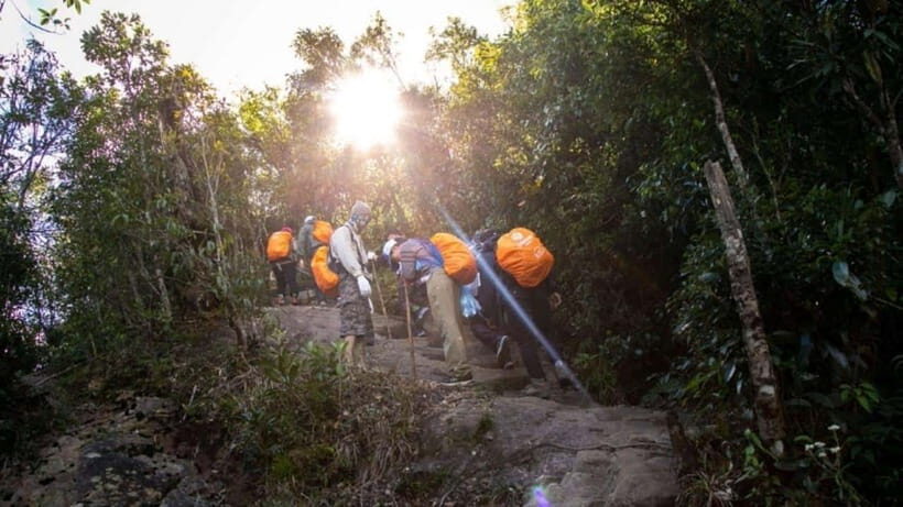 From Sapa: Full-Day Fansipan Peak Trekking Tour - Exploring the Full-Day Fansipan Trekking Tour in Detail