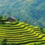 From Sapa: Full-Day Trekking Tour Lao Chai & Ta Van Villages - A Deep Dive into the Sapa Trekking Tour