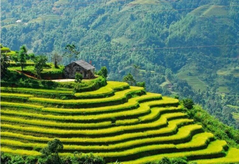 From Sapa: Full-Day Trekking Tour Lao Chai & Ta Van Villages - A Deep Dive into the Sapa Trekking Tour