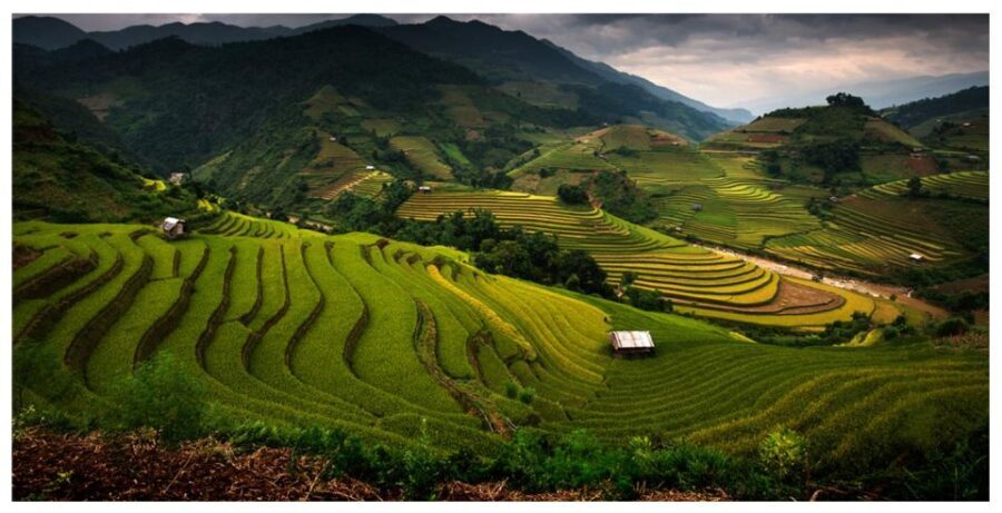 From Sapa: Terrace Fields and Local Villages Trek with Lunch - Why This Tour Offers Good Value