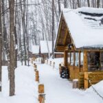 From Sapporo: 10-hour Customized Private Tour to Furano - The Sum Up