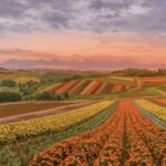 From Sapporo : Hokkaido Furano Tomita Farm Joiner Tour - What’s Included and What’s Not