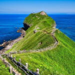 From Sapporo: Hokkaido Highlights Day Trip - Who This Tour Is Best For