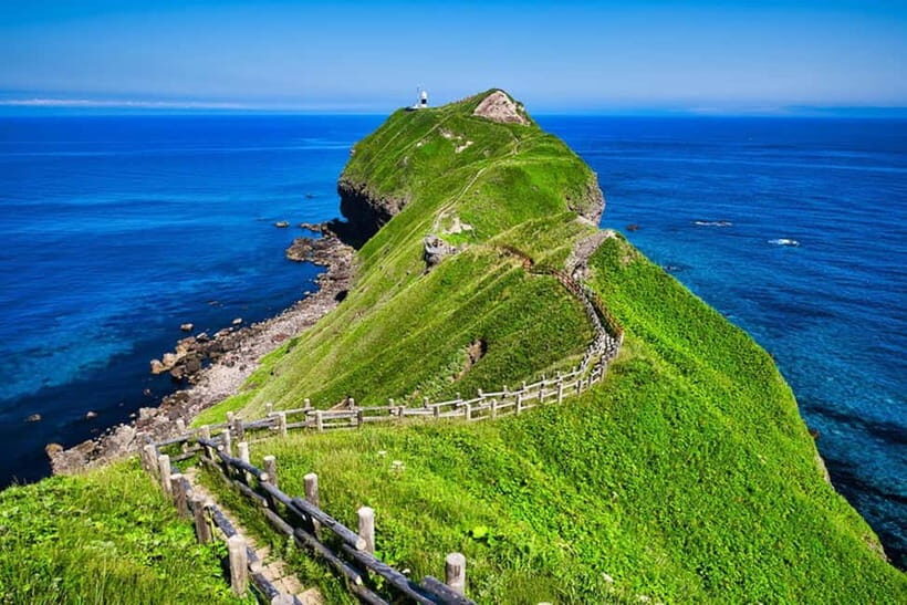 From Sapporo: Hokkaido Highlights Day Trip - Who This Tour Is Best For