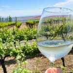 From Seattle Wine Tasting, Vineyards in Eastern WA - Authenticity and Value