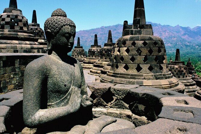 From Semarang port: Borobudur Temple excursion - Cruise Ship Traveler - Who Should Consider This Tour?