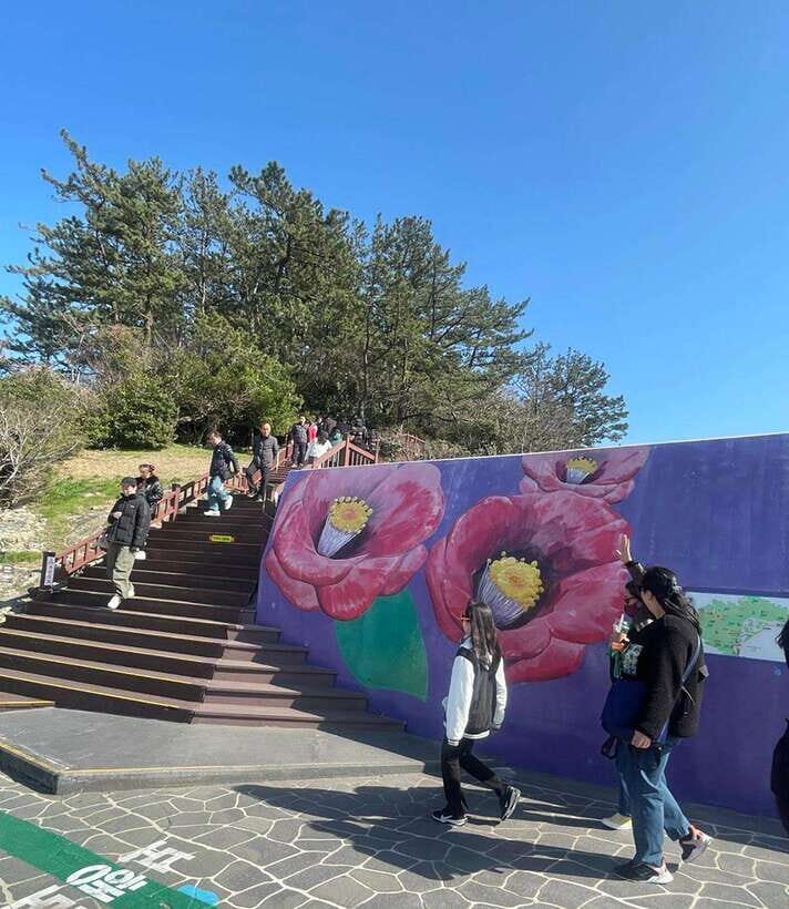 From Seoul: 2-Day Yeosu and Suncheon Scenic Journey - Who Should Consider This Tour?