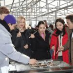 From Seoul: 2026 Hwacheon Sancheoneo Ice Festival Day Tour - Is This Tour Worth It?