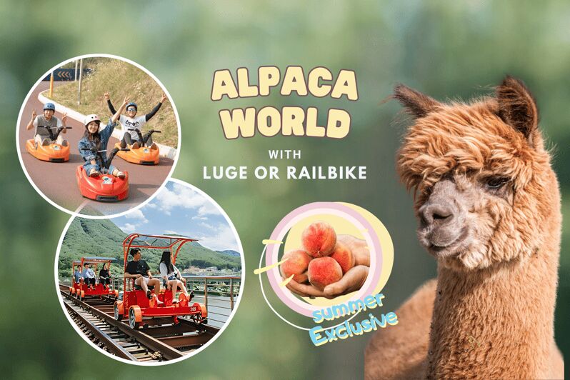 From Seoul: Alpaca Farm with Rail bike/ Luge Racing - An In-Depth Look at the Experience