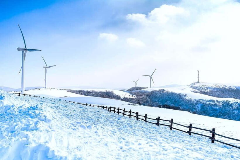 From Seoul: Balwangsan Cable Car and Daegwallyeong Ranch - The Sum Up