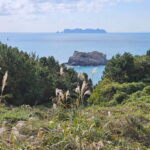 From Seoul: Cycling Tour from Tongyeong to Geoje - Day 2: Cultural Sites and Scenic Islands