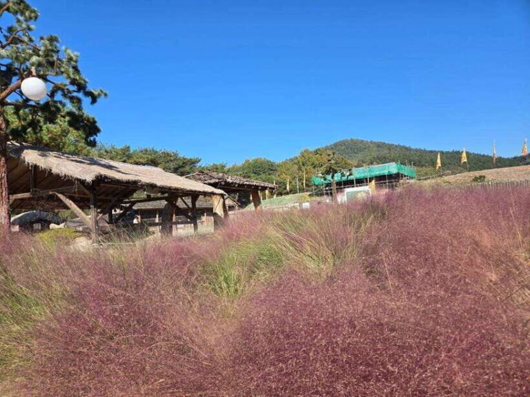 From Seoul: Gongju and Buyeo 2-Day Tour with Accommodation - FAQs