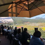 From Seoul : Pocheon 2-Day Tour with Accommodation and Meals - Exploring Pocheon: A Detailed Review