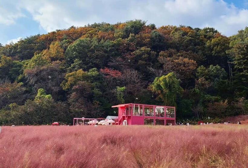 From Seoul: Pocheon, Sanjung Lake and Bidulginang Fall Trip - Who Will Love This Tour?