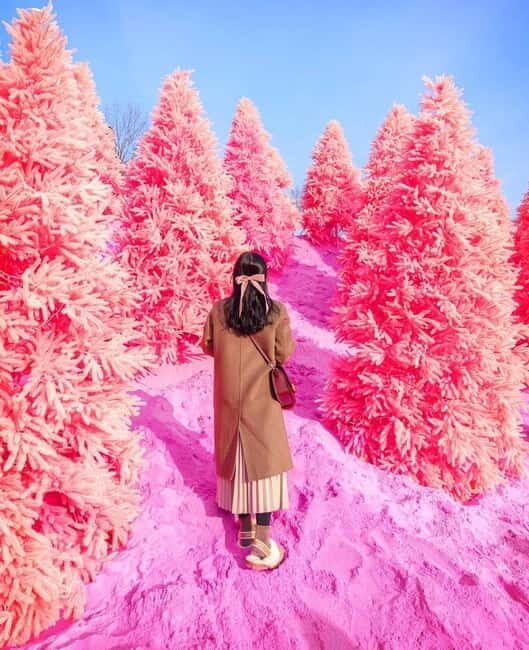 From Seoul: Romantic Winter Wonderland Tour - Visiting Pink Sand Herb Island: A Dreamy Winter Landscape