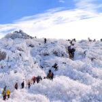 From Seoul: Snow-Capped Beauty of Deogyusan National Park - Exploring the Itinerary in Detail
