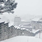 From Seoul: Suwon Hwaseong and Deogyusan Winter Tour - Who Should Consider This Tour?