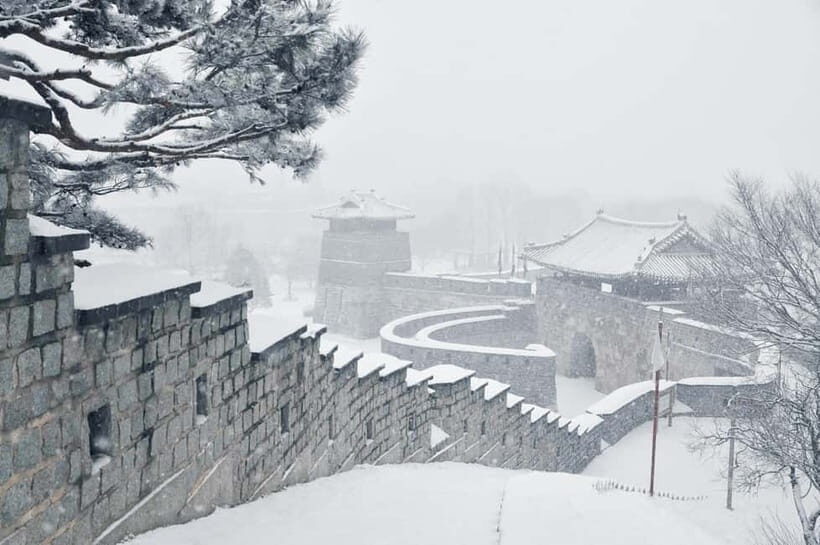 From Seoul: Suwon Hwaseong and Deogyusan Winter Tour - Who Should Consider This Tour?