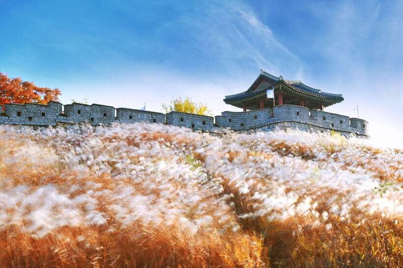 From Seoul: UNESCO Suwon Hwaseong Fortress Tour - Why This Tour Offers Great Value