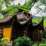 From Shanghai: Hangzhou Private Day Tour by Bullet Train - A Deep Dive into the Hangzhou Private Day Tour