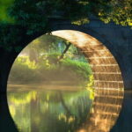 From Shanghai:Hangzhou Temples, Lake Views &Night Market Fun - What Makes This Tour Stand Out