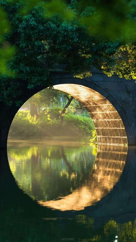 From Shanghai:Hangzhou Temples, Lake Views &Night Market Fun - What Makes This Tour Stand Out