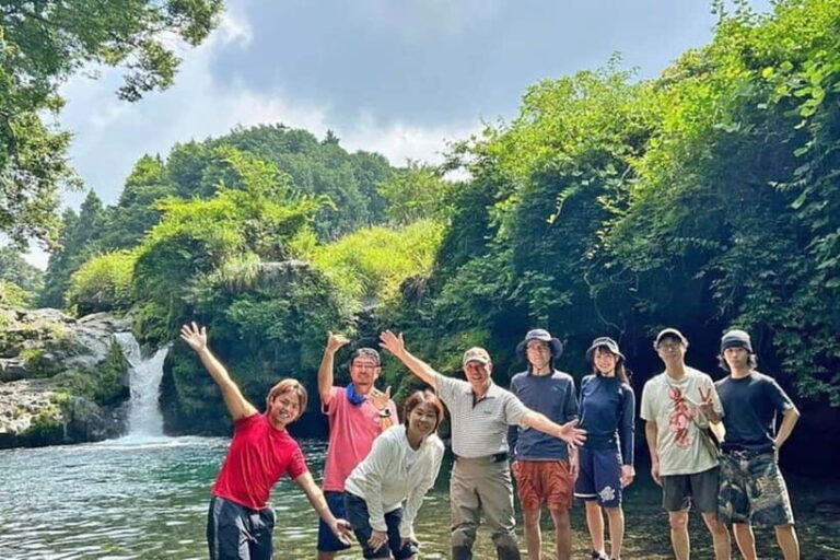 From Shinfuji: Fuji Nature Tour with Guide and Vehicle - Who Should Consider This Tour?