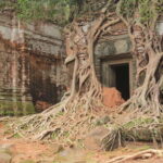 From Siem Reap: Beng Mealea and Koh Ker Temple Day Trip - The Sum Up