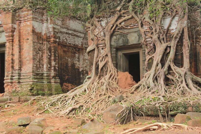 From Siem Reap: Beng Mealea and Koh Ker Temple Day Trip - The Sum Up
