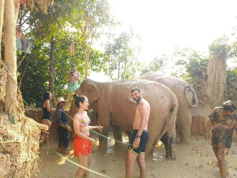 From Siem Reap: Elephant Sanctuary Experience with Transfers - What Does the Itinerary Look Like?