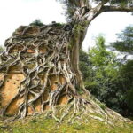 From Siem Reap: Sambor Prei Kuk and Kompong Kdei Day Trip - The Journey to Kampong Thom