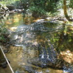From Siem Reap: Small-Group Phnom Kulen Waterfall Day Tour - Exploring Phnom Kulen: More Than Just a Waterfall