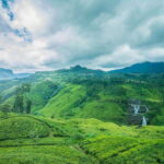 From Sigiriya: 6-Day Sri Lanka Tour with Yala Safari - Practical Details & Tips