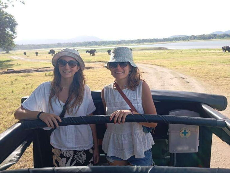 From Sigiriya: Minneriya National Park Half-Day Jeep Safari - Who Will Love This Tour?