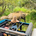From Sigiriya: Minneriya National Park Private Jeep Safari - Who Should Consider This Tour?