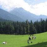 From Srinagar: Sonmarg Day Trip - Exploring the Full Day in Sonmarg