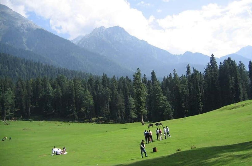 From Srinagar: Sonmarg Day Trip - Exploring the Full Day in Sonmarg