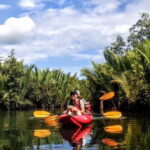 From Tagbilaran City/Panglao Island: Bohol Mangrove Kayaking - Practical Details: What You Need to Know