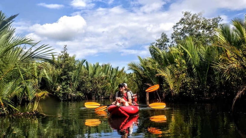From Tagbilaran City/Panglao Island: Bohol Mangrove Kayaking