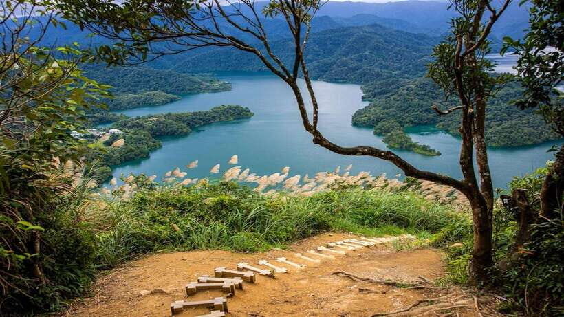 From Taipei: Thousand-Island Lake & Tea Museum Private Tour - A Detailed Look at the Tour Experience