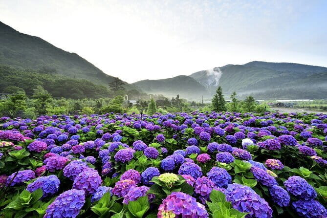 From Taipei: Yangmingshan, Yehliu, Jiufen & Shifen Private Tour - What the Tour Means for You