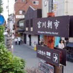 From Takayama: Foodie Adventure, Showa Era, & the Old Town - Who Would Love This Tour?