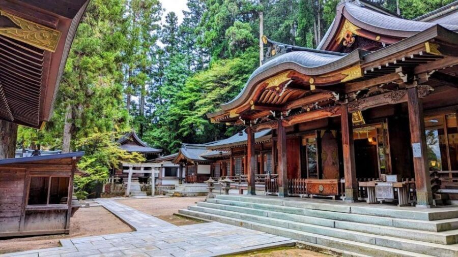 From Takayama: Immerse in Takayama's Rich History and Temple - Practical Insights and What to Expect